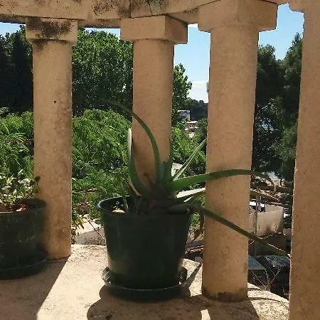 Jadranka *